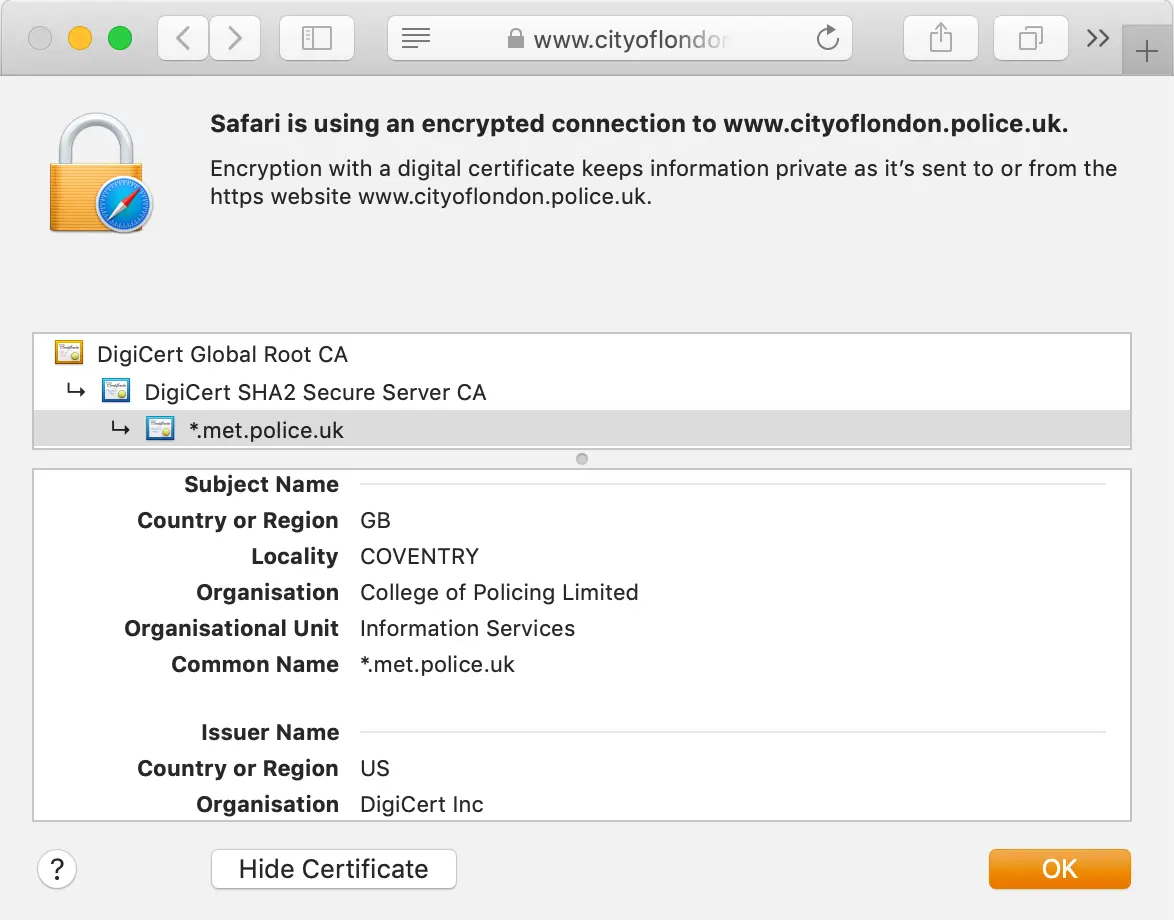 Look of the GeoTrust True BusinessID Wildcard in your browser's address bar Look of the GeoTrust Standard DV certificate in your browser's address bar