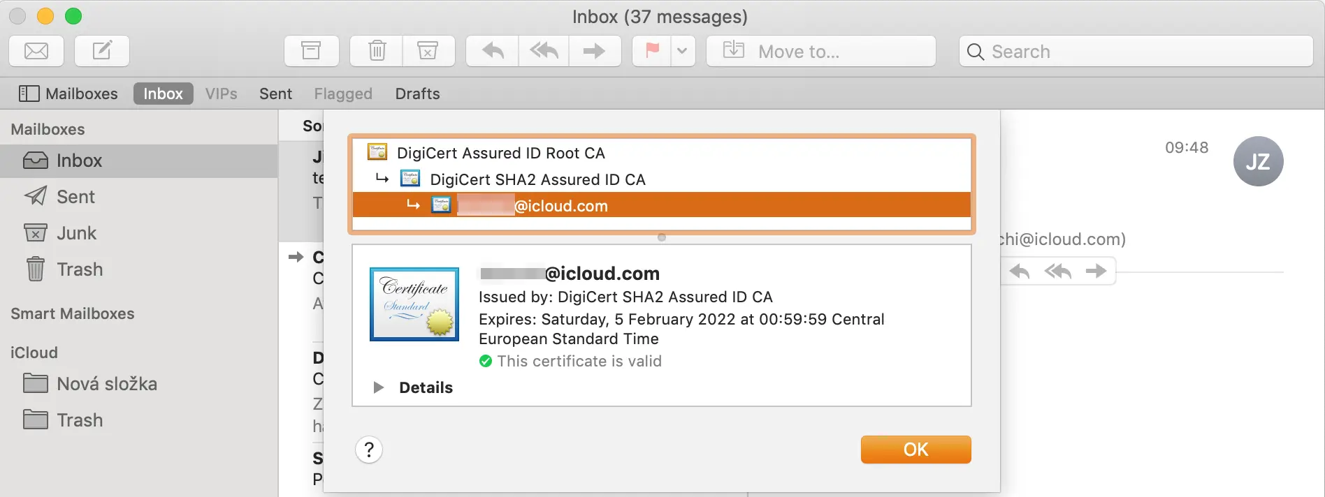 Detail of the certificate in Mail