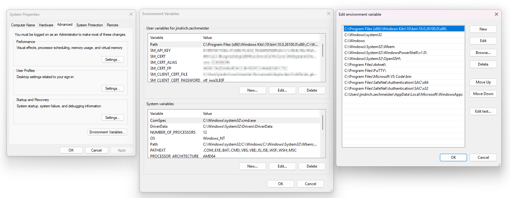 Adding variables through Windows GUI